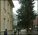 DSCF2534.jpg