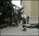 DSCF2576.jpg