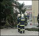 DSCF2577.jpg
