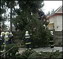 DSCF2578.jpg