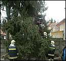 DSCF2579.jpg