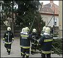 DSCF2584.jpg