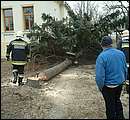 DSCF2616.jpg