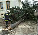 DSCF2617.jpg