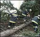DSCF2621.jpg