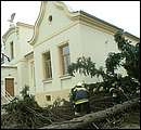 DSCF2623.jpg
