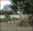 DSCF2630.jpg