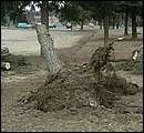 DSCF2631.jpg