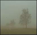 DSCF2642.jpg