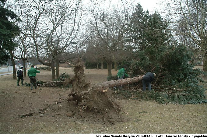 DSCF2484.jpg
