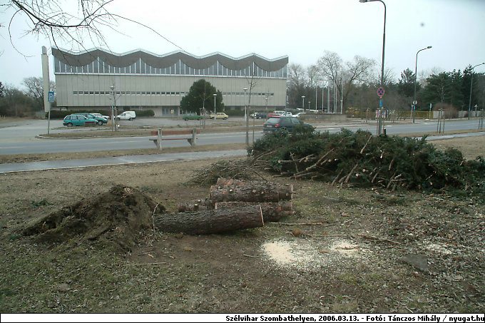 DSCF2488.jpg