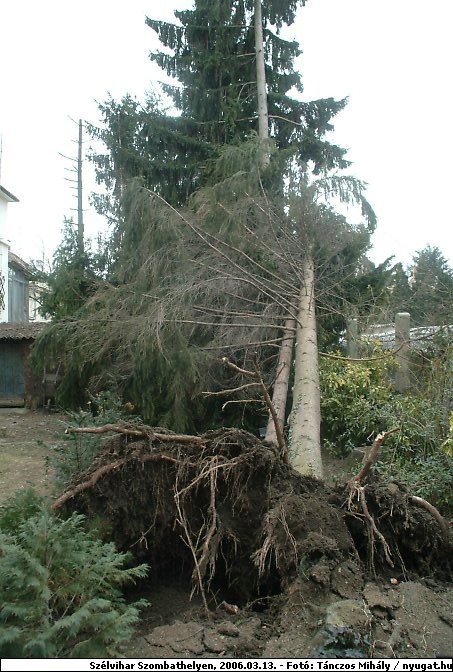 DSCF2497.jpg