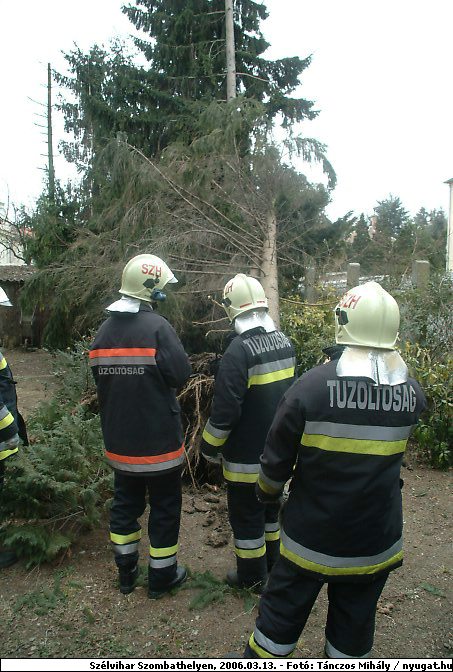 DSCF2498.jpg