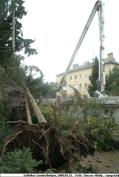 DSCF2512.jpg
