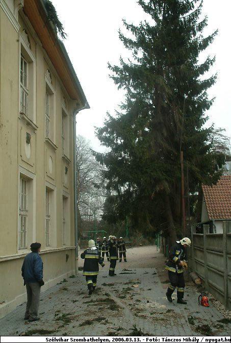 DSCF2534.jpg