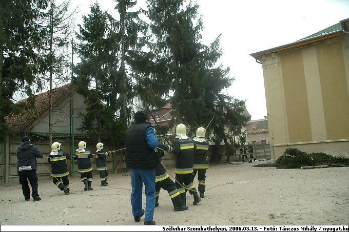 DSCF2554.jpg