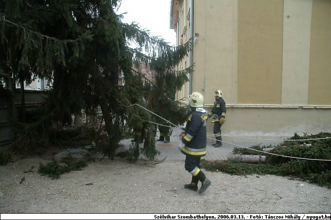 DSCF2576.jpg