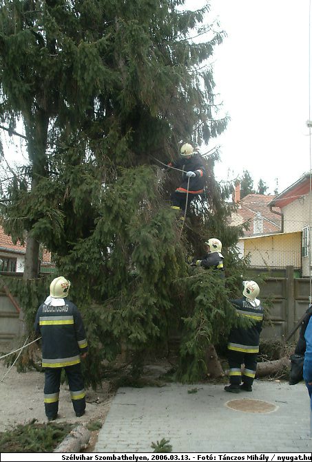 DSCF2579.jpg