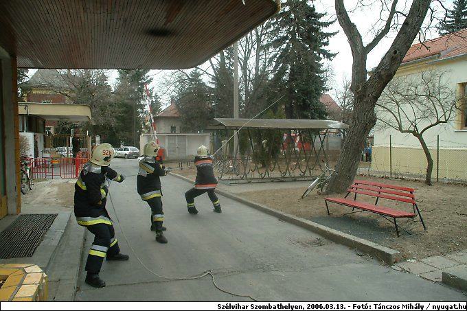 DSCF2611.jpg