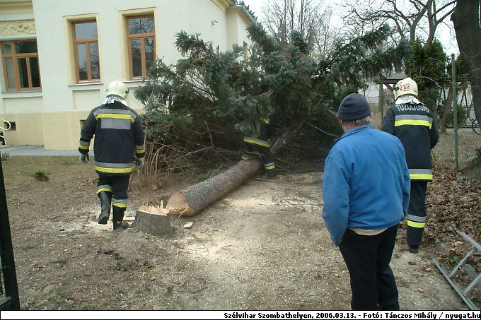 DSCF2616.jpg