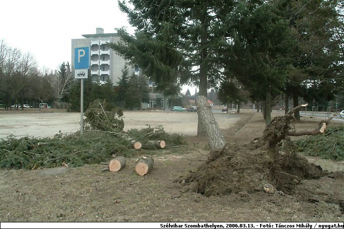 DSCF2630.jpg