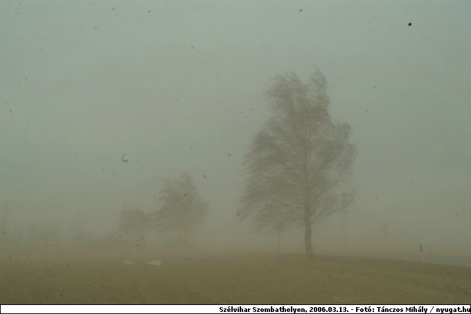 DSCF2642.jpg