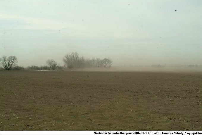 DSCF2676.jpg