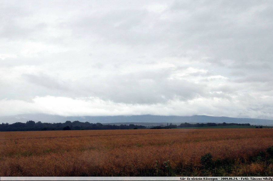 DSC_1268.jpg