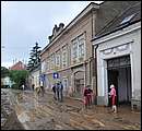 DSC_1100.JPG