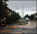 DSC_1184.JPG