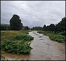 DSC_1251.JPG
