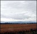DSC_1268.jpg
