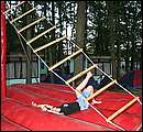 IMG_5230.jpg