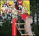 IMG_5233.jpg