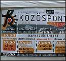 IMG_5241.jpg