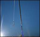 IMG_5259.jpg