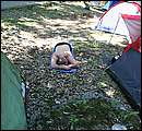 IMG_5571.jpg