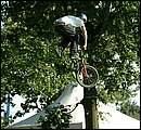 DSCF1370.jpg