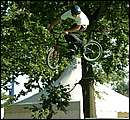 DSCF1374.jpg
