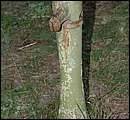 DSCF2109.jpg