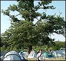 eDSCF1307.jpg