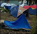 DSCF7563.jpg
