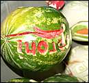 DSCF5652.jpg