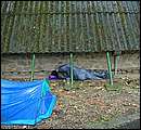DSCF6196.jpg