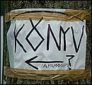 DSCF6215.jpg