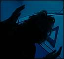 DSCF6238.jpg