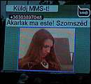DSCF6409.jpg