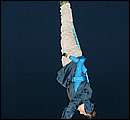 DSCF6687.jpg