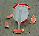 DSCF7249.jpg