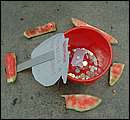 DSCF7250.jpg